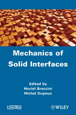 Mechanics of Solid Interfaces, Braccini Muriel