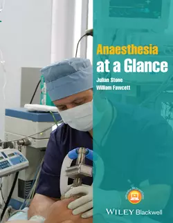 Anaesthesia at a Glance Fawcett William и Stone Julian