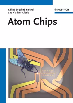 Atom Chips, Reichel Jakob