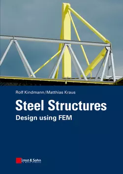 Steel Structures. Design using FEM, Kraus Matthias