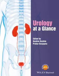 Urology at a Glance, Hashim Hashim