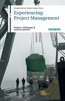 Experiencing Project Management. Projects, Challenges and Lessons Learned, Bittner Elisabeth