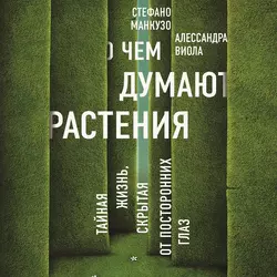 О чем думают растения?, Стефано Манкузо