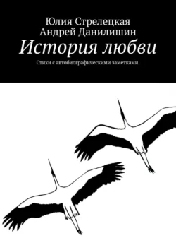 История любви. Стихи с автобиографическими заметками., Андрей Данилишин