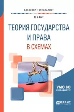 Теория государства и права в схемах. Учебное пособие для бакалавриата и специалитета, Виктор Бялт