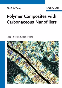 Polymer Composites with Carbonaceous Nanofillers. Properties and Applications, Sie Tjong