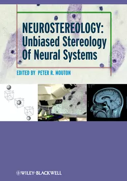 Neurostereology. Unbiased Stereology of Neural Systems, P. Mouton