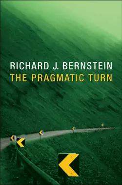 The Pragmatic Turn, Richard Bernstein