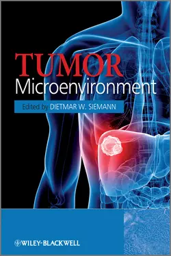 Tumor Microenvironment, Dietmar Siemann