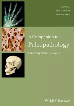 A Companion to Paleopathology, Anne Grauer