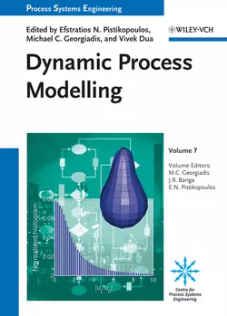 Dynamic Process Modeling, Julio Banga