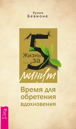 Жизнь за 5 минут. Время для обретения вдохновения, Хулио Бевионе