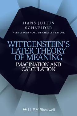 Wittgenstein′s Later Theory of Meaning. Imagination and Calculation, Hans Schneider