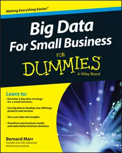 Big Data For Small Business For Dummies Бернард Марр