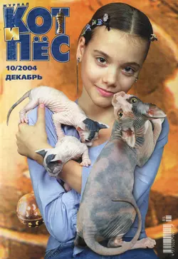 Кот и Пёс 10 2004 