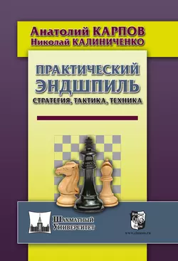 Практический эндшпиль. Стратегия, тактика, техника, Николай Калиниченко