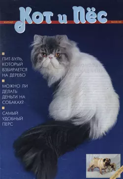 Кот и Пёс 02 1996 