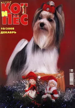 Кот и Пёс №10/2008