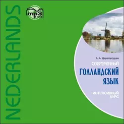 Современный голландский язык. Интенсивный курс, А. Царегородцев