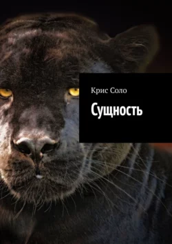 Сущность, Крис Соло