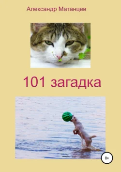 101 загадка, Александр Матанцев