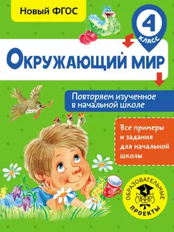 Окружающий мир. Повторяем изученное в начальной школе. 4 класс, Артем Зайцев