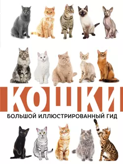 Кошки Николай Непомнящий