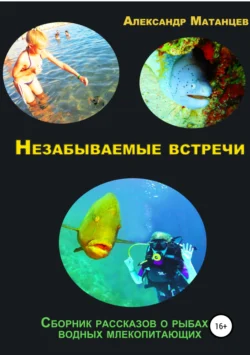 Незабываемые встречи. Сборник рассказов о рыбах и водных млекопитающих Александр Матанцев