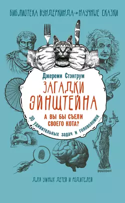 Загадки Эйнштейна. А вы бы съели своего кота? 30 удивительных задач и головоломок, Джереми Стэнгрум
