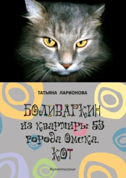 Боливаркин из квартиры 53 города Омска. Кот. Жизнеописание, Татьяна Ларионова