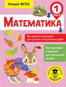 Математика. Все цепочки примеров для устных и письменных работ. 1 класс Алексей Кулаков