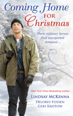 Coming Home for Christmas: Christmas Angel / Unexpected Gift / Navy Joy, Lindsay McKenna