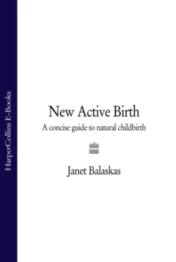 New Active Birth: A Concise Guide to Natural Childbirth, Janet Balaskas