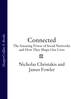 Connected: The Amazing Power of Social Networks and How They Shape Our Lives James Fowler и Nicholas Christakis