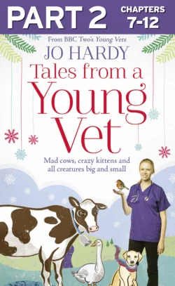 Tales from a Young Vet: Part 2 of 3: Mad cows, crazy kittens, and all creatures big and small, Jo Hardy