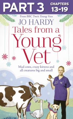 Tales from a Young Vet: Part 3 of 3: Mad cows, crazy kittens, and all creatures big and small, Jo Hardy