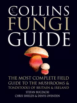 Collins Fungi Guide: The most complete field guide to the mushrooms and toadstools of Britain & Ireland, Stefan Buczacki