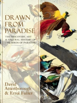 Drawn From Paradise: The Discovery, Art and Natural History of the Birds of Paradise, Errol Fuller