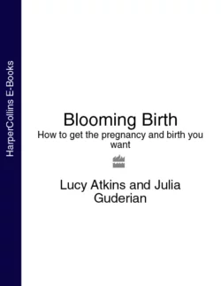 Blooming Birth: How to get the pregnancy and birth you want, Lucy Atkins