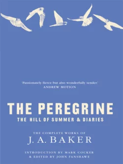 The Peregrine: The Hill of Summer & Diaries: The Complete Works of J. A. Baker, Mark Cocker