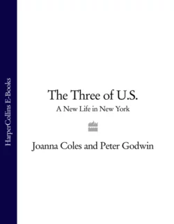 The Three of U.S.: A New Life in New York, Peter Godwin