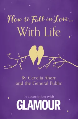 How to Fall in Love... With Life Cecelia Ahern и The Public