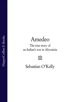 Amedeo: The True Story of an Italian’s War in Abyssinia, Sebastian O’Kelly