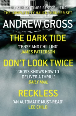 Andrew Gross 3-Book Thriller Collection 1: The Dark Tide, Don’t Look Twice, Relentless, Andrew Gross