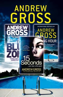 Andrew Gross 3-Book Thriller Collection 2: 15 Seconds  Killing Hour  The Blue Zone Andrew Gross