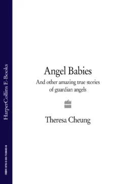 Angel Babies: And Other Amazing True Stories of Guardian Angels Theresa Cheung