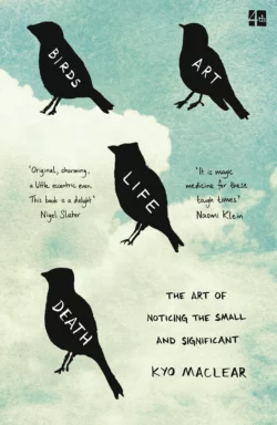 Birds Art Life Death: The Art of Noticing the Small and Significant, Кио Маклир