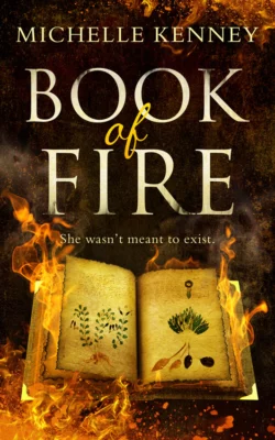 Book of Fire: a debut fantasy perfect for fans of The Hunger Games  Divergent and The Maze Runner Michelle Kenney