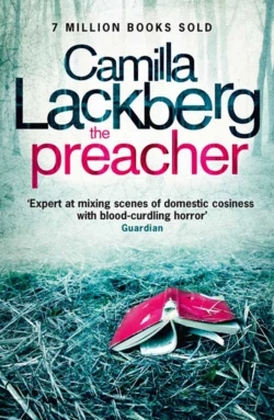 Camilla Lackberg Crime Thrillers 1-3: The Ice Princess, The Preacher, The Stonecutter, Камилла Лэкберг