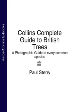 Collins Complete Guide to British Trees: A Photographic Guide to every common species, Paul Sterry